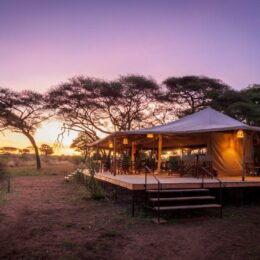 Baobab tanzania