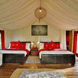 lemala-ngorongoro-tented (2)