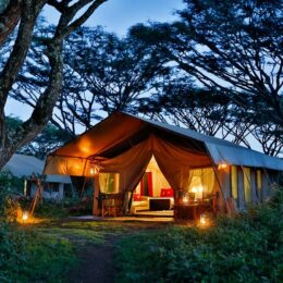 lemala-ngorongoro-tented