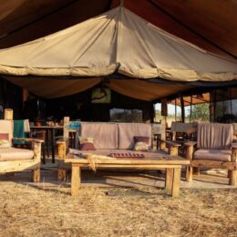 mara camp tanzania