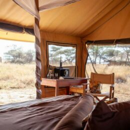 tented camp