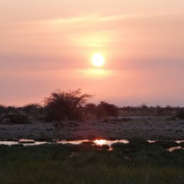 Senyati Safari Camp namibia