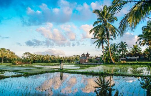 Bali cuircuit Ubud, Gili Trawangan et Seminyak 2